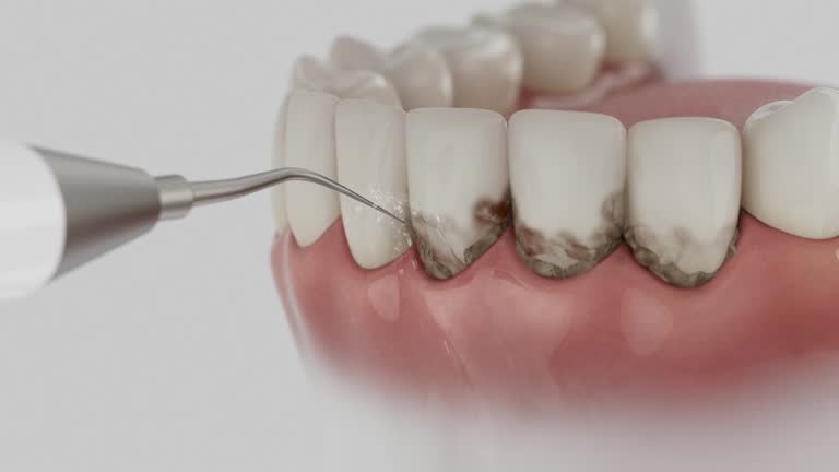 Reliable Dental contractor in Coalville, UT by Dentist Open Now